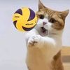 roya_1000