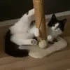 just_charlie38