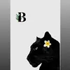 belile.1