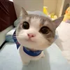 chongkngoc24