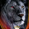 gs1905gsstore