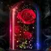 r.wrw8