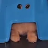 igottentoes