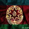 mehdiyevss.024