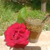 basam2559