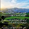 user83114015700550