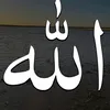 user8710851568144