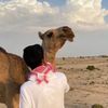 dailytamim