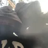 lilpak4