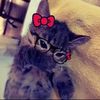 yose_9295