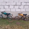 andreu6236
