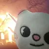 winterdavis