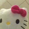 ydkcat