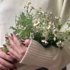 Daisy ꨄ ꨄ