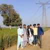 levelcheckkr