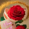 alhaer555