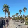 Lauratravelvlogs