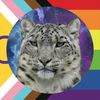 astral_pawz_