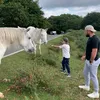 jake.gilbert31