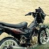 bang.al9525