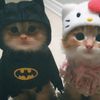 lolity_ana