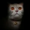 k0canbiet_
