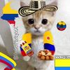 coquetips1