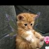 ashly_12565