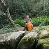 gui_dexango