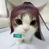 amna_kittylover8
