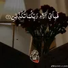 arslan Manzoor