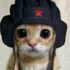 user4818120341949