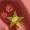 th.v.n2