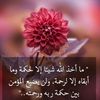 user4581707957084
