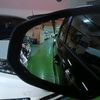 friendly_user80