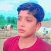 .saher.anwer.wainc