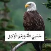 reboregr