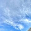 softiecloud6