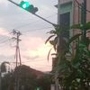 haipvaka