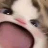 meoden0013