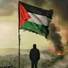 sakinhasan833