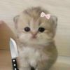 blueberrryyy_03