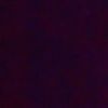 walid_ha160