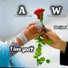 iqra.wasim69