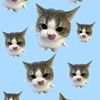 lovelyz985