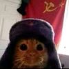 iceneverkn0w