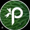 platycerium03