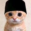 pinkcat__00