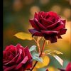 💔زندگی سے تنگ❤️‍🩹
