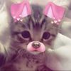 beansofficialaccount